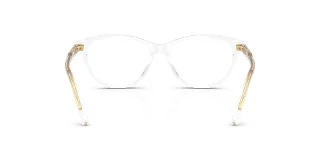 Dolce & Gabbana Eyeglasses DX3002