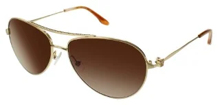 Bcbgmaxazria Sunglasses CAREFREE