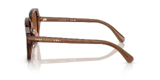 Swarovski Sunglasses SK6034D