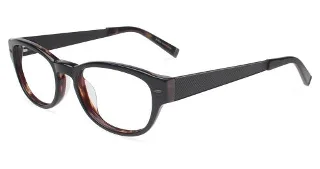 Black Tortoise