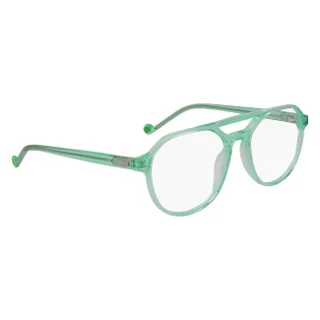 Pure Eyeglasses P-6004