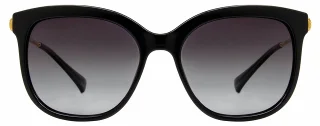 INVU Sunglasses INVU-137