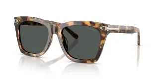 617887 Spotty Havana
