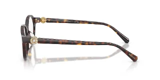 Swarovski Eyeglasses SK2077D