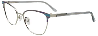 Takumi Eyeglasses TK1293