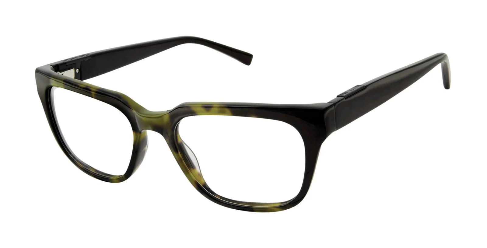 Ted Baker Eyeglasses TB802
