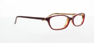 Polo Eyeglasses PP8501
