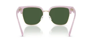 Michael Kors Sunglasses MK2262