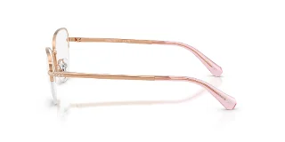 Swarovski Eyeglasses SK1023