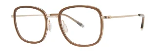 Paradigm Eyeglasses 20-04