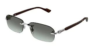008 SILVER/BROWN