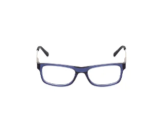 Harley Davidson Eyeglasses HD0143T
