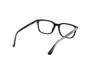 Web Eyeglasses WE5391