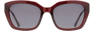 INVU Sunglasses INVU- 261