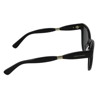 Longchamp Sunglasses LO804S