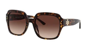 172813 Dark Tort