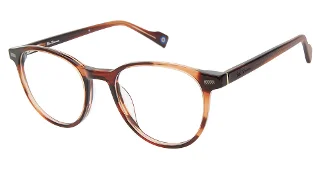 C02 Brown Horn