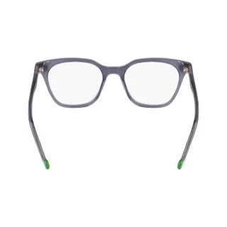 Pure Eyeglasses P-6002