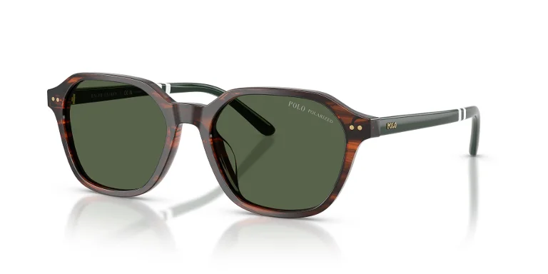 Polo Sunglasses PH4234U