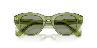 Swarovski Sunglasses SK6025