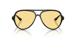 Ray Ban Sunglasses RB4125