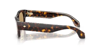Giorgio Armani Sunglasses AR8224