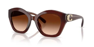 584174 Milky Hazelnut