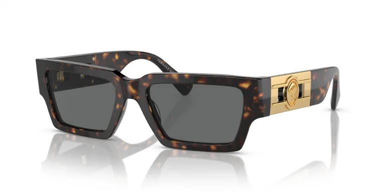 Versace Sunglasses VE4459
