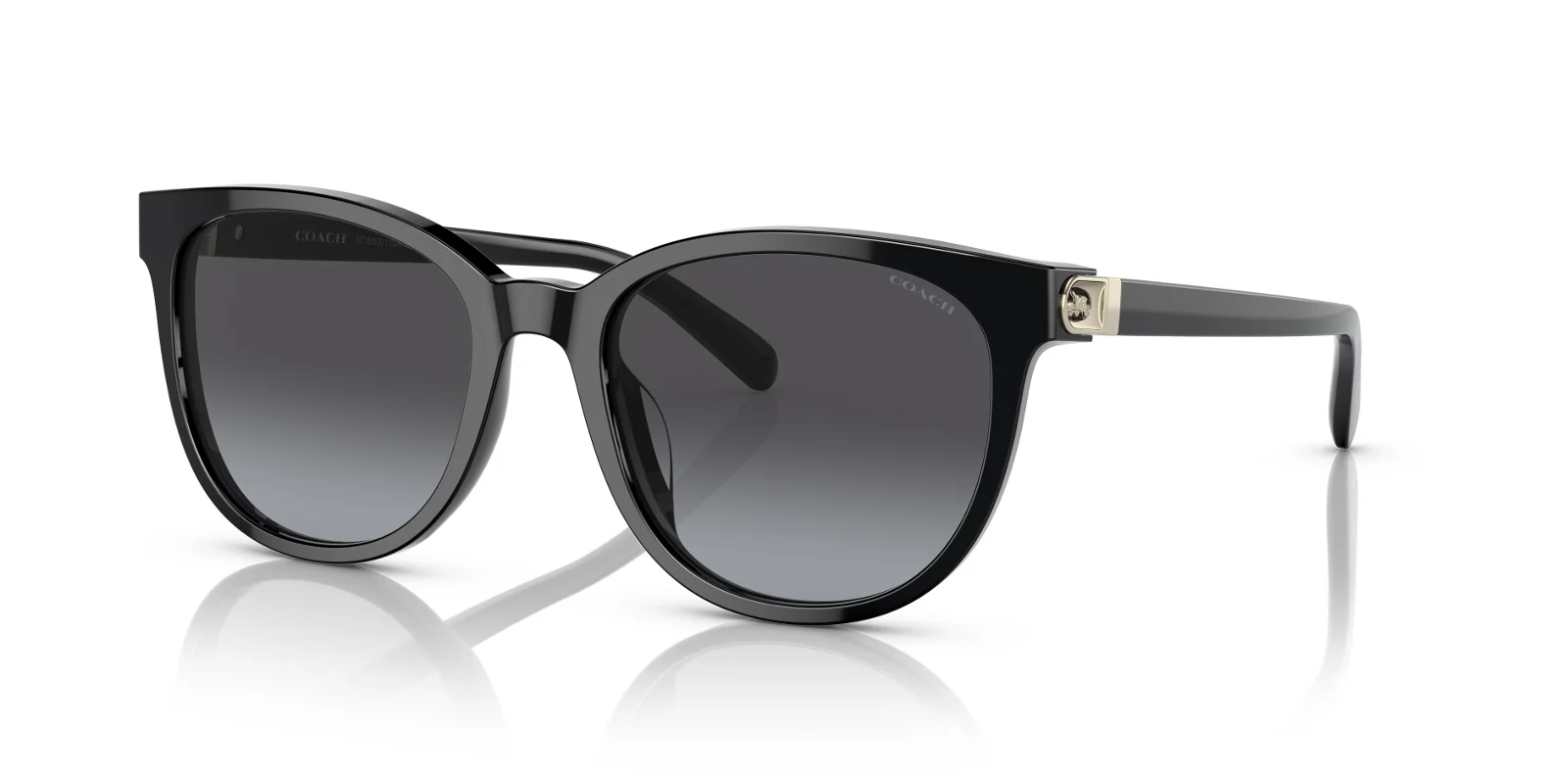 Coach Sunglasses HC8350U