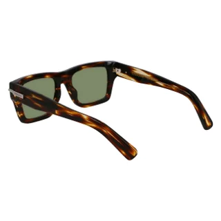 Salvatore Ferragamo Sunglasses SF2033S