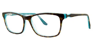tortoise/blue
