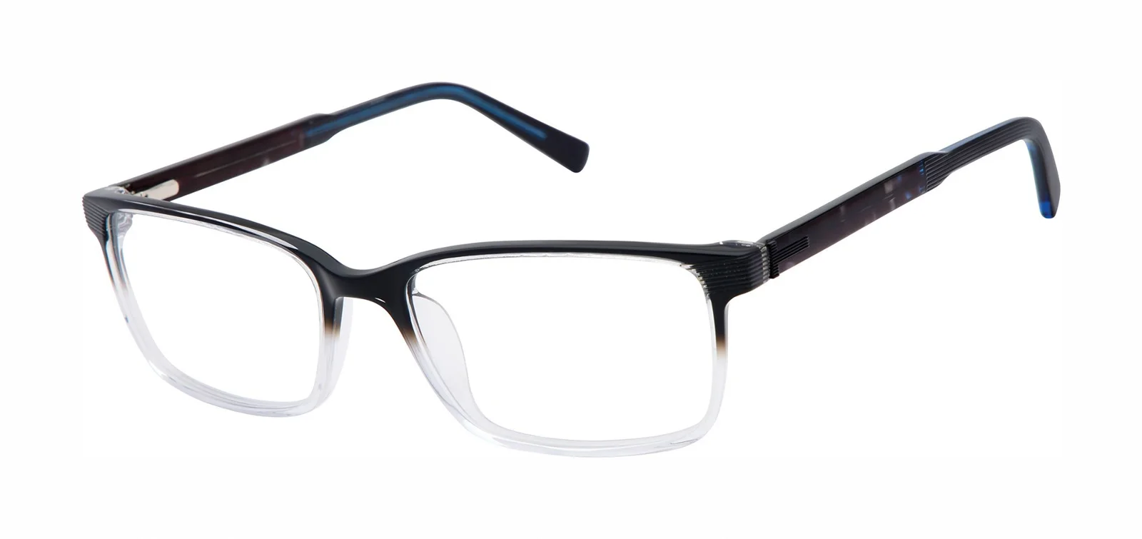 Ted Baker Eyeglasses TXL014