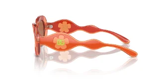 Dolce & Gabbana Sunglasses DX6005