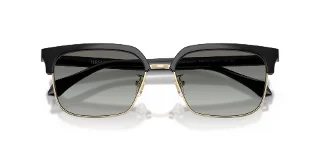 Versace Sunglasses VE4494D
