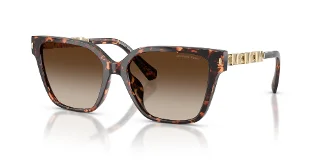 300613 Dark Tortoise