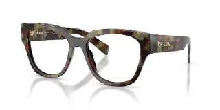 22F1O1 Woods Tortoise