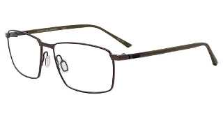 Brown/Olive Titanium (D000)