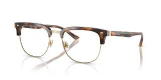 6161 Warm Tortoise