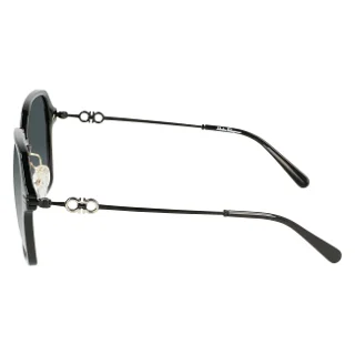 Salvatore Ferragamo Sunglasses SF1034SA