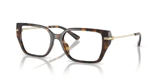 3006 Dark Tortoise