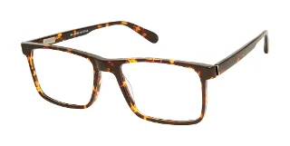 890 TORTOISE