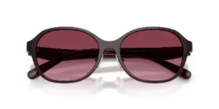 Coach Sunglasses HC8445D