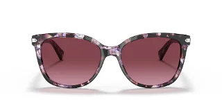 Coach Sunglasses HC8132