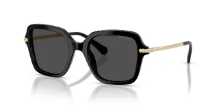 Swarovski Sunglasses SK6040F