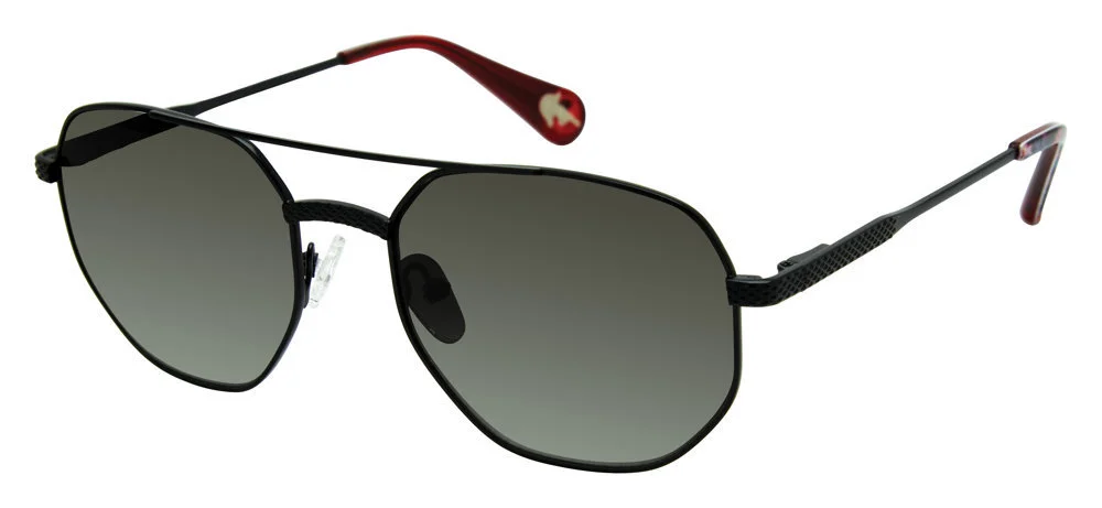 Robert Graham Sunglasses GIBSON