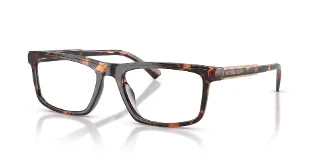 3006 Dark Tortoise