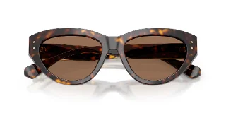 Dolce & Gabbana Sunglasses DG4558