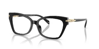 Michael Kors Eyeglasses MK4146U