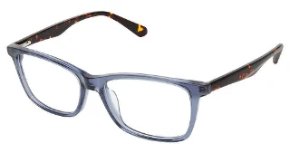 S401-Sf-598 Blue Tortoise