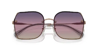 Coach Sunglasses HC7150D